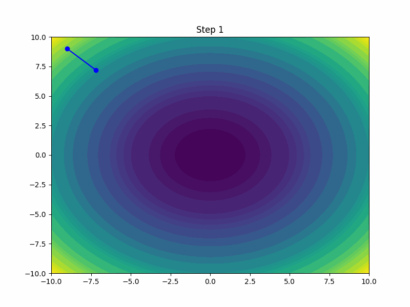momentum_path.gif